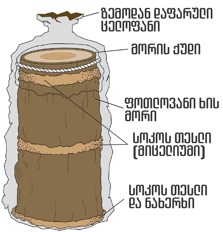 {{brizy_dc_image_alt imageSrc=