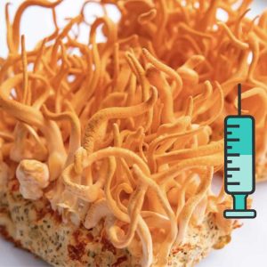 კორდიცეპსი, თხევადი მიცელიუმი / Cordyceps Militaris